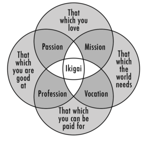 DKNA Ikigai